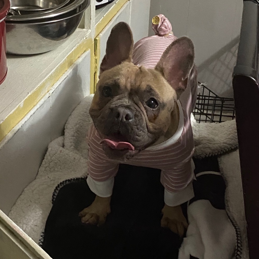 Meet your Posher, Rogelio